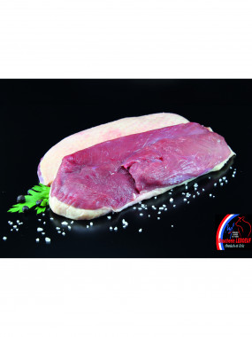 Filet de Canard